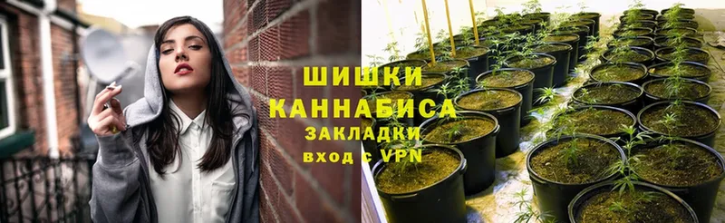 Марихуана SATIVA & INDICA  Рассказово 